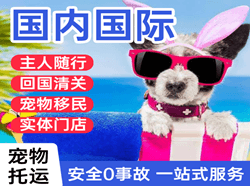 昭通机场货运国际宠物托运 【国